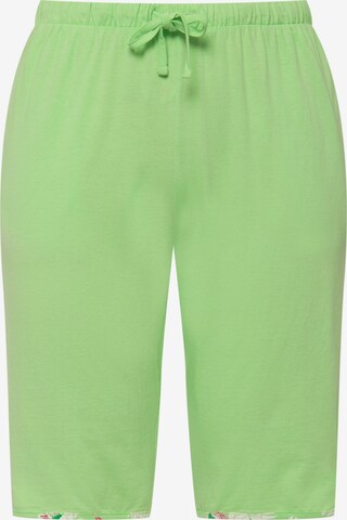 Shorty Ulla Popken en vert