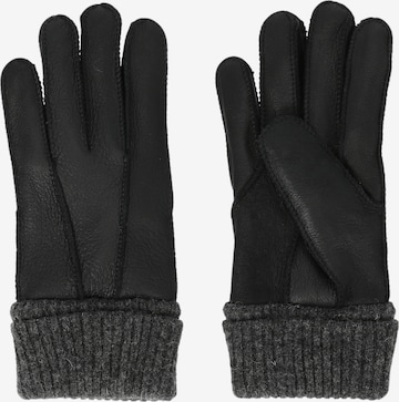 Whistler Full Finger Gloves 'Desiree' in Black: front