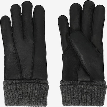 Whistler Full finger gloves 'Desiree' in Black: front