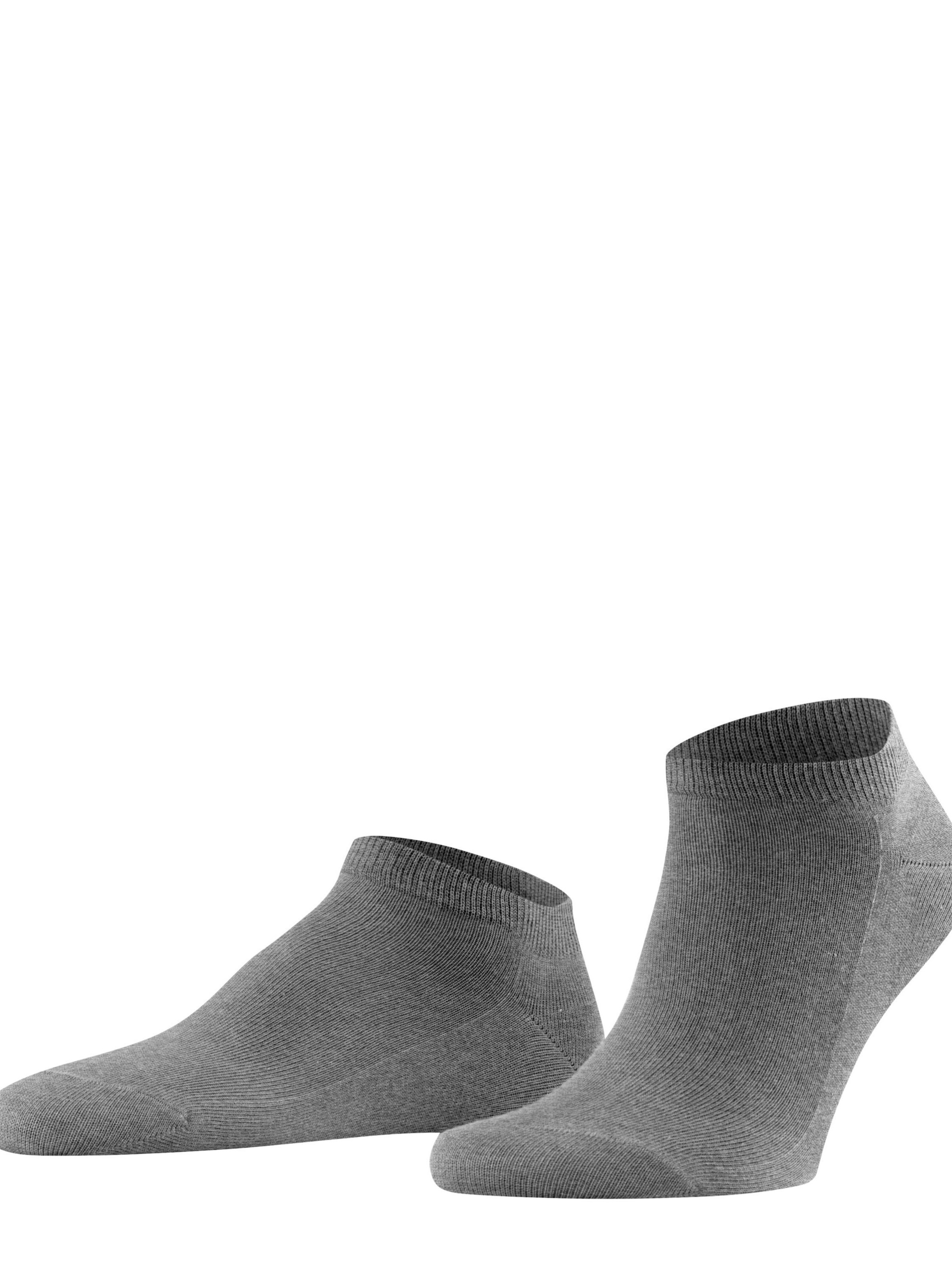 FALKE Socks 'Family' in Grey: front