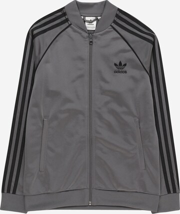 ADIDAS ORIGINALS Zip-Up Hoodie 'Adicolor Sst' in Grey: front