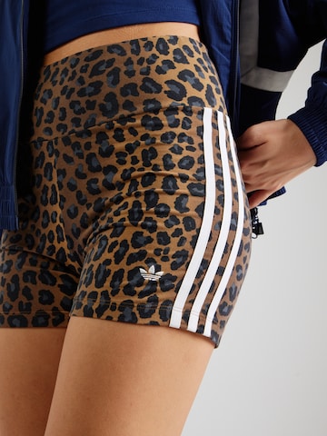 ADIDAS ORIGINALS Skinny Fit Панталон 'BOOTY' в кафяво