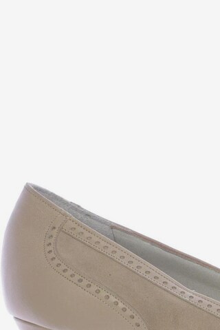 SALAMANDER Pumps 36 in Beige