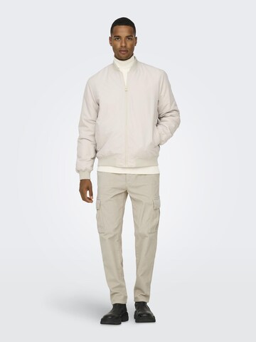 Only & Sons - Tapered Pantalón cargo 'ONSLou' en gris