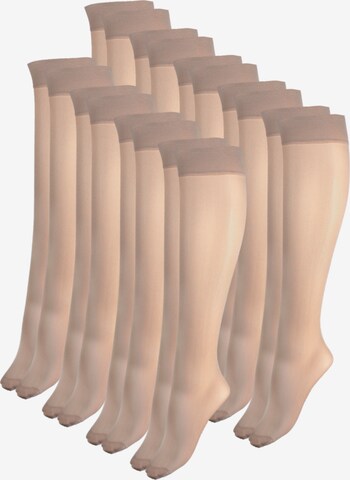 Esda Knee High Socks in Beige: front