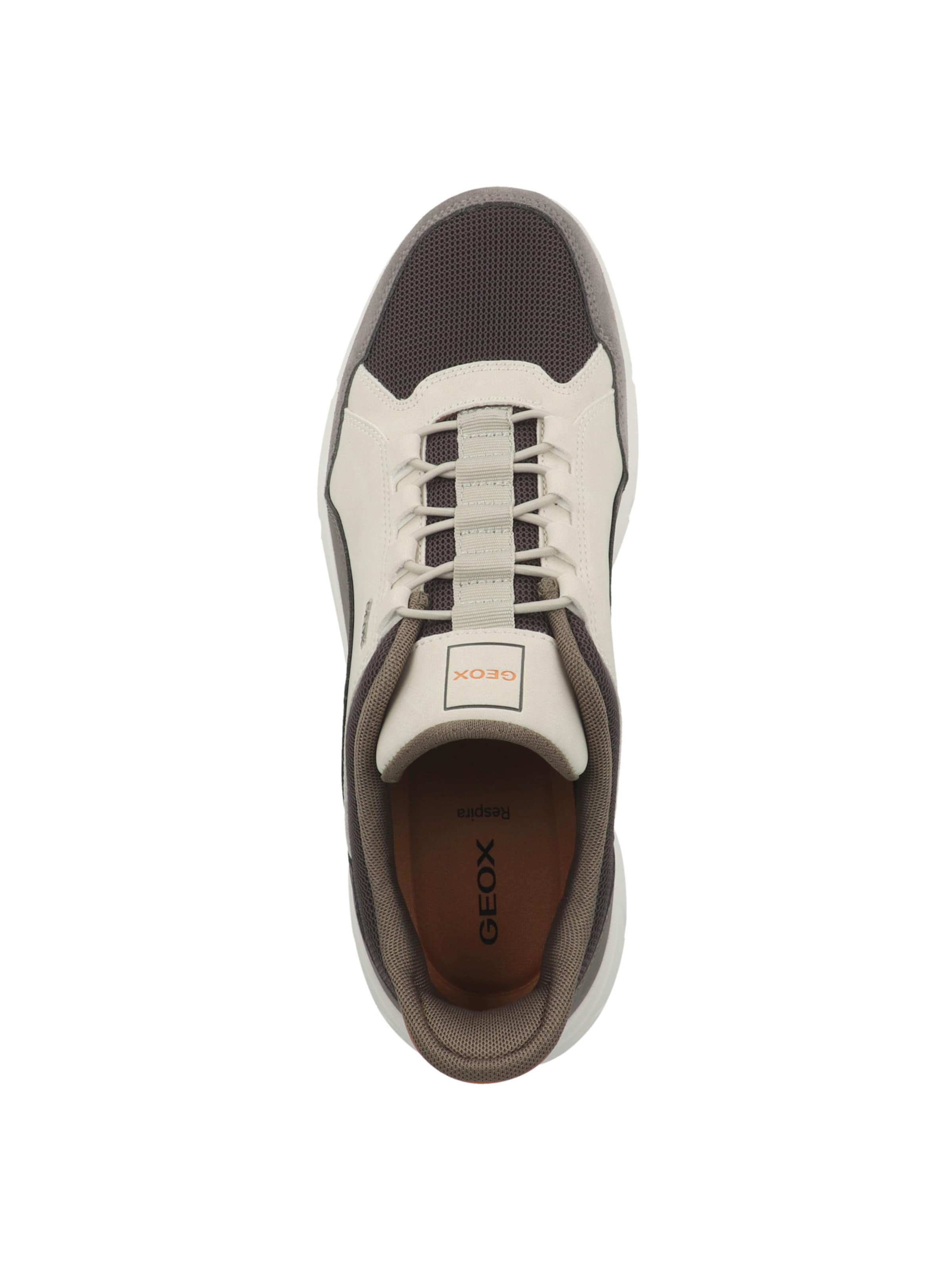 Baskets basses 'Plus A' GEOX en gris