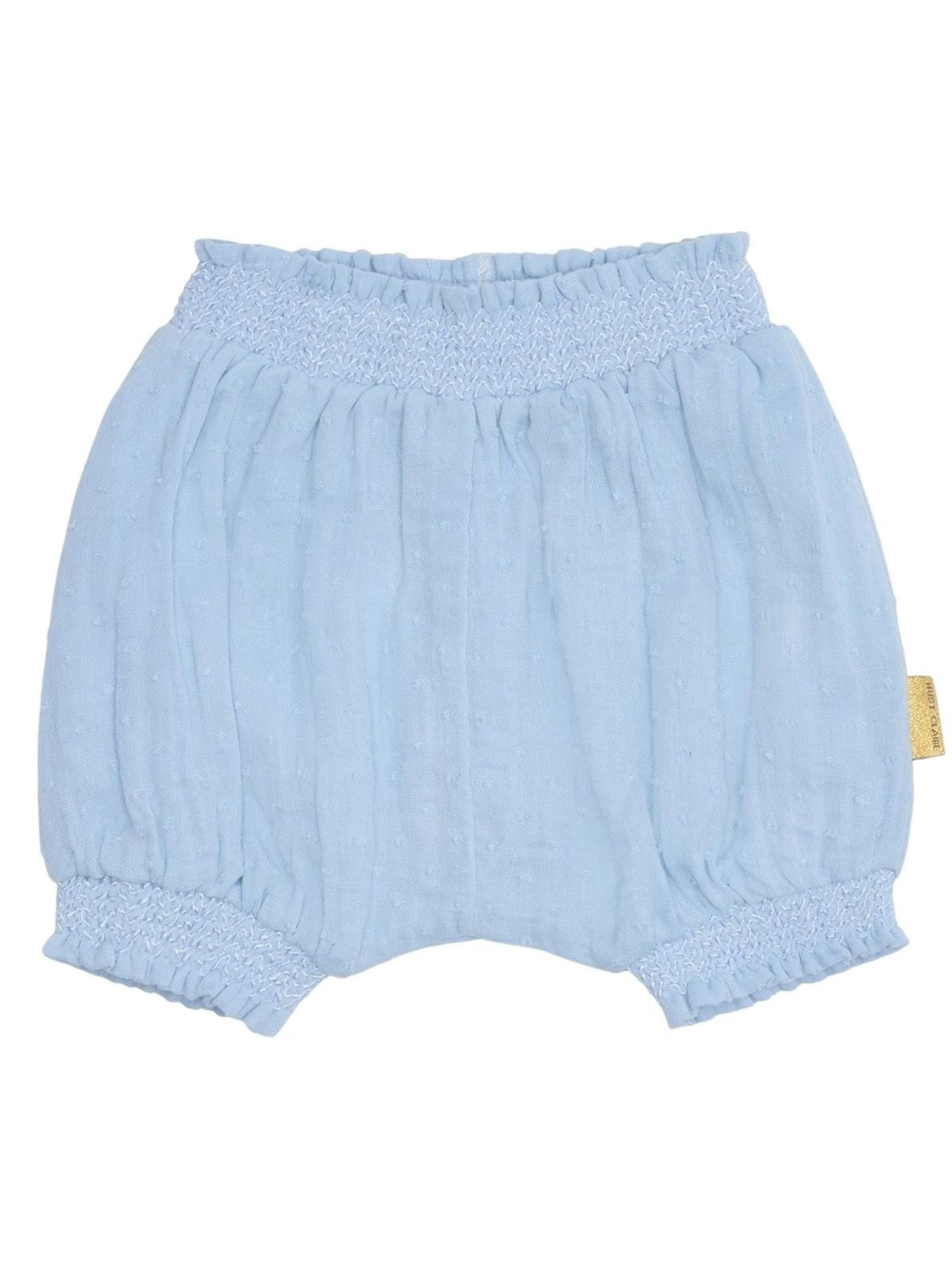 Hust & Claire Regular Pants 'HCHilma' in Blue: front