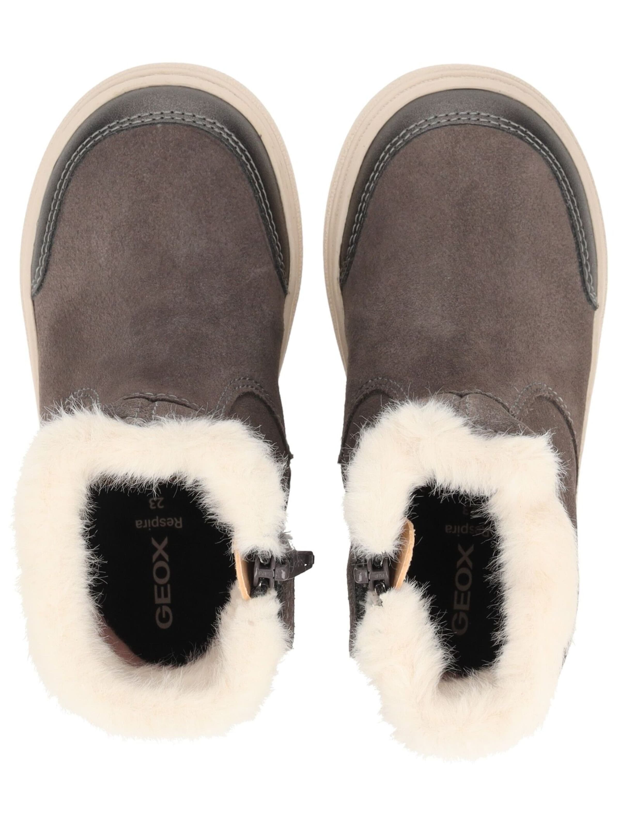 GEOX Boots in Grey
