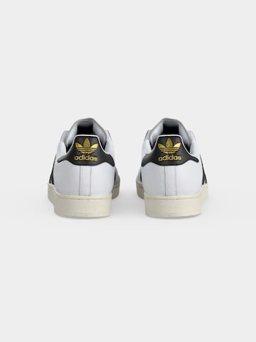 ADIDAS ORIGINALS Σνίκερ χαμηλό 'SUPERSTAR II' σε λευκό