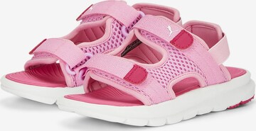 PUMA Sandale  'Evolve' in Pink