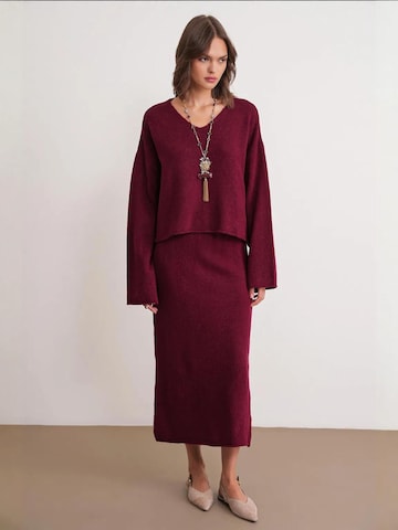 Tailleur di MixRay in rosso