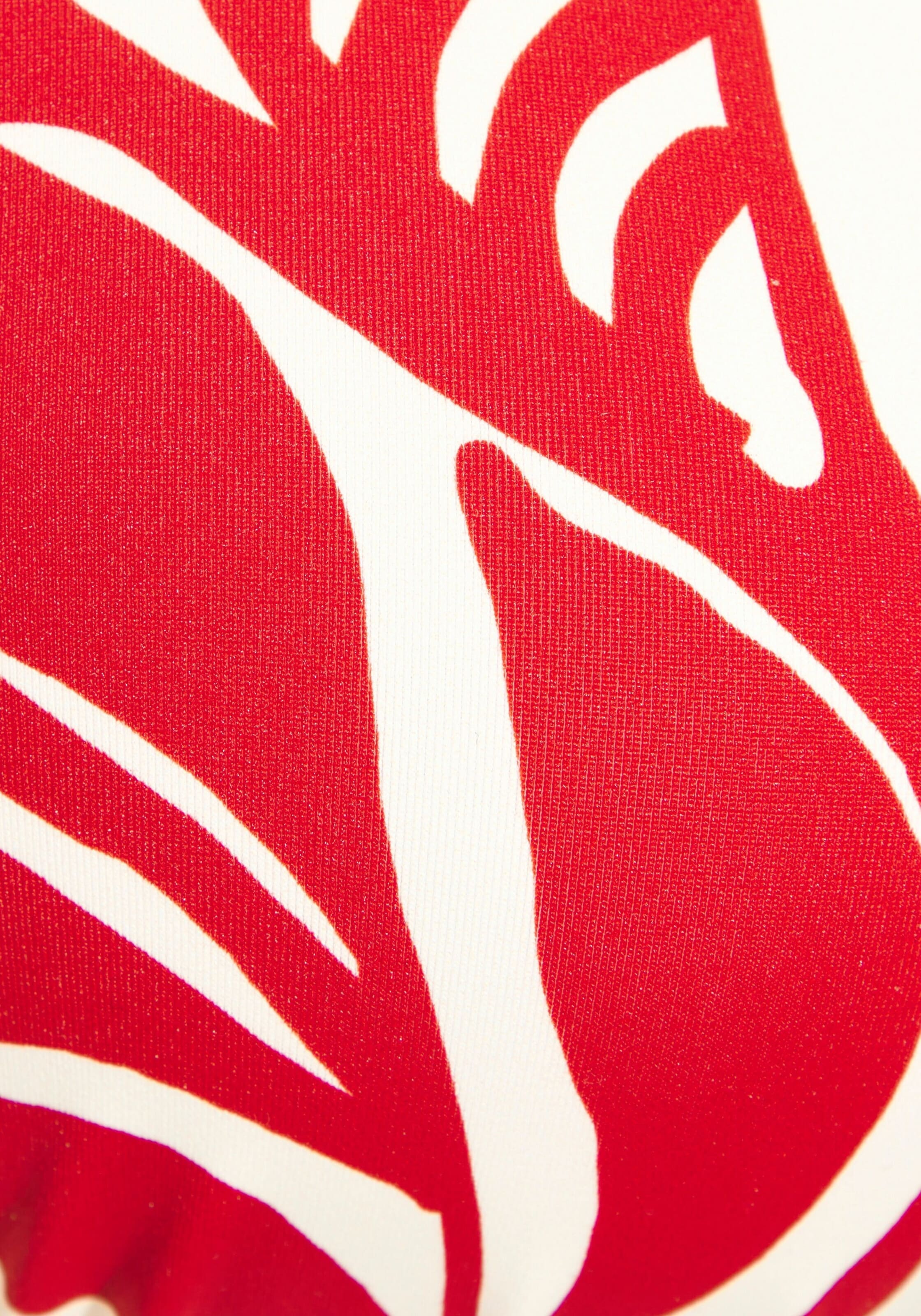 BUFFALO - Triángulo Top de bikini en rojo