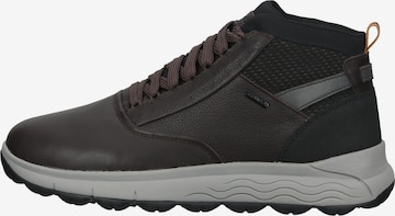 GEOX High-Top Sneakers in Brown