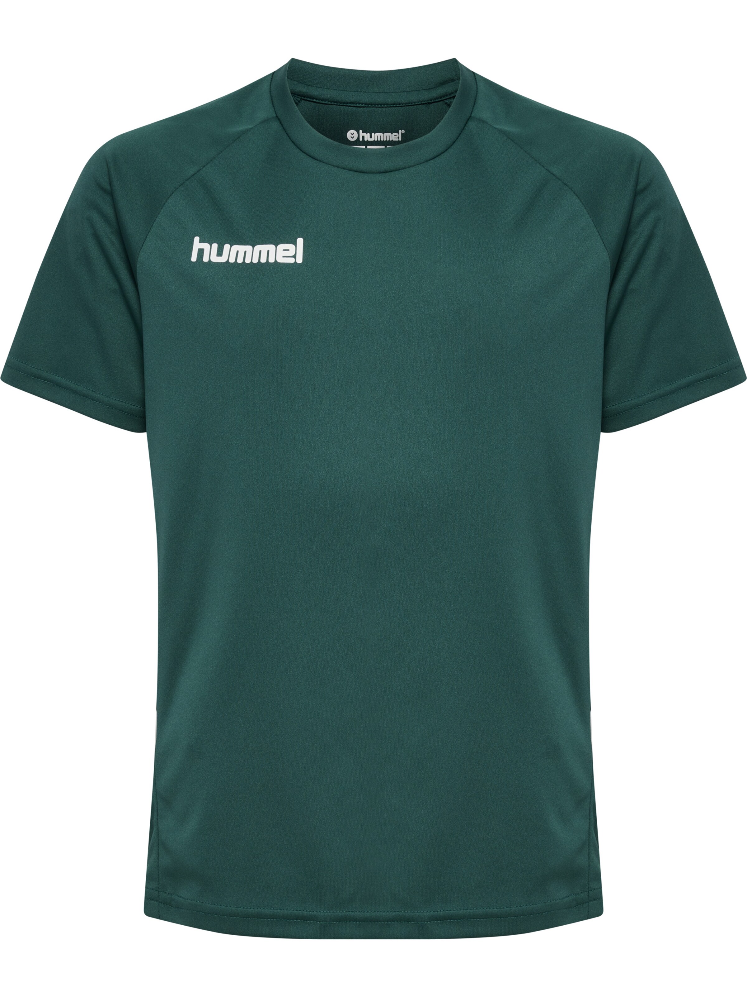 Hummel Trainingspak 'Promo' in Groen