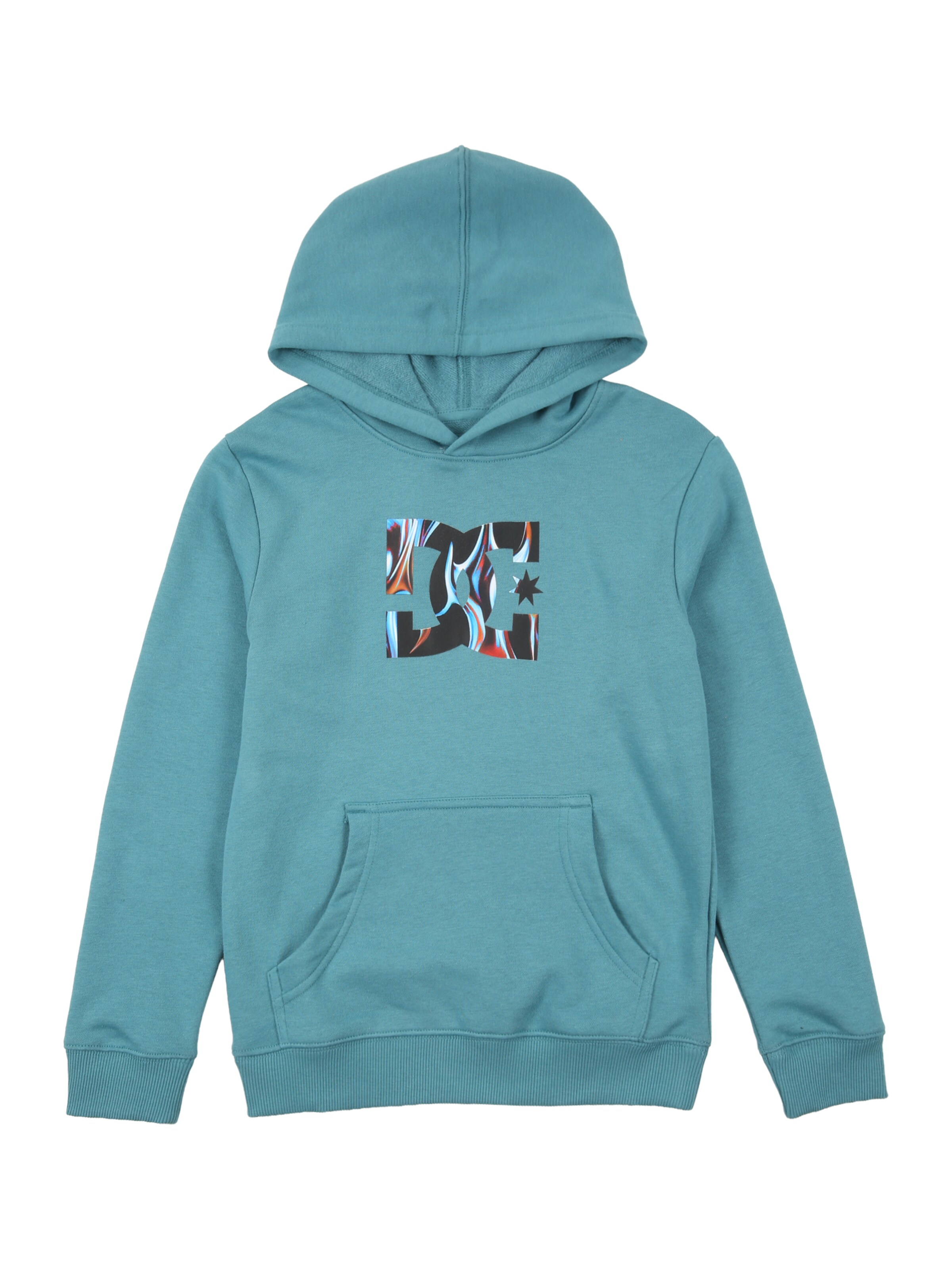 DC Shoes Sports sweatshirt in Blue: front
