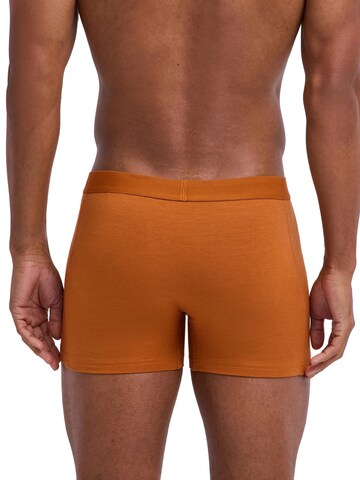 FALKE Boxer shorts '2-Pack' in Mixed colors