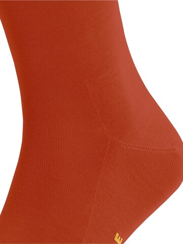 FALKE Socks 'Tiago' in Grey