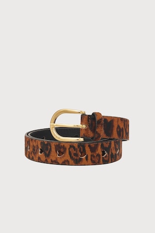 Ceinture Fabienne Chapot en marron : devant