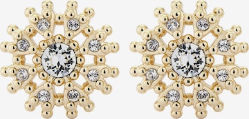 Ted Baker Earrings 'Leslea' in Gold: front