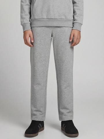 regular Pantaloni 'JREBCREST' di JJ Rebel in grigio: frontale