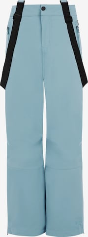 PROTEST Regular Sports trousers 'SPIKET JR' in Blue: front