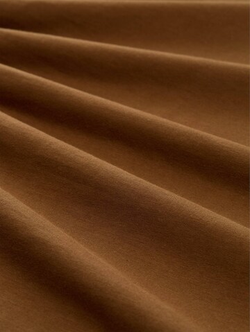 TOM TAILOR DENIM Shirt in Bruin