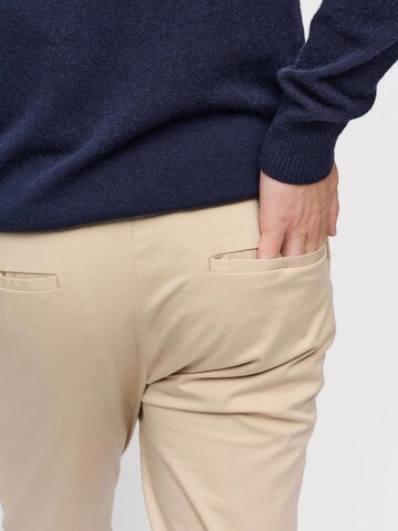 SANVT Regular Chinohose 'The Smart Chino'‌‌‌‌‌‌‌‌‌ in Beige
