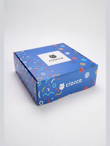 Ciocca Socks in Mixed colors