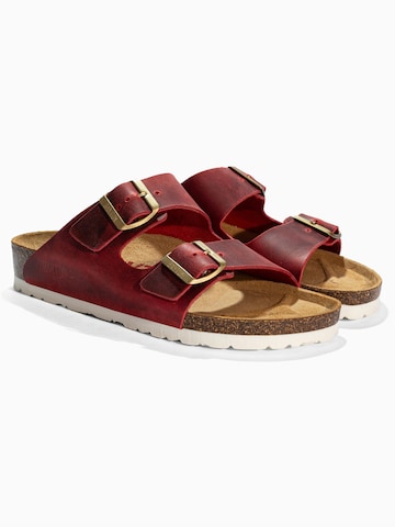 Zoccoletto 'Atlas' di Bayton in rosso