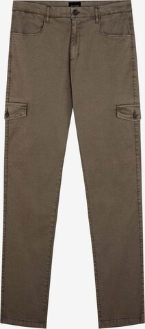 Regular Pantalon cargo Scalpers en marron : devant