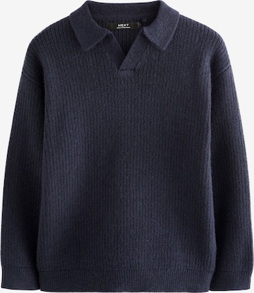 mėlyna Next Megztinis: priekis