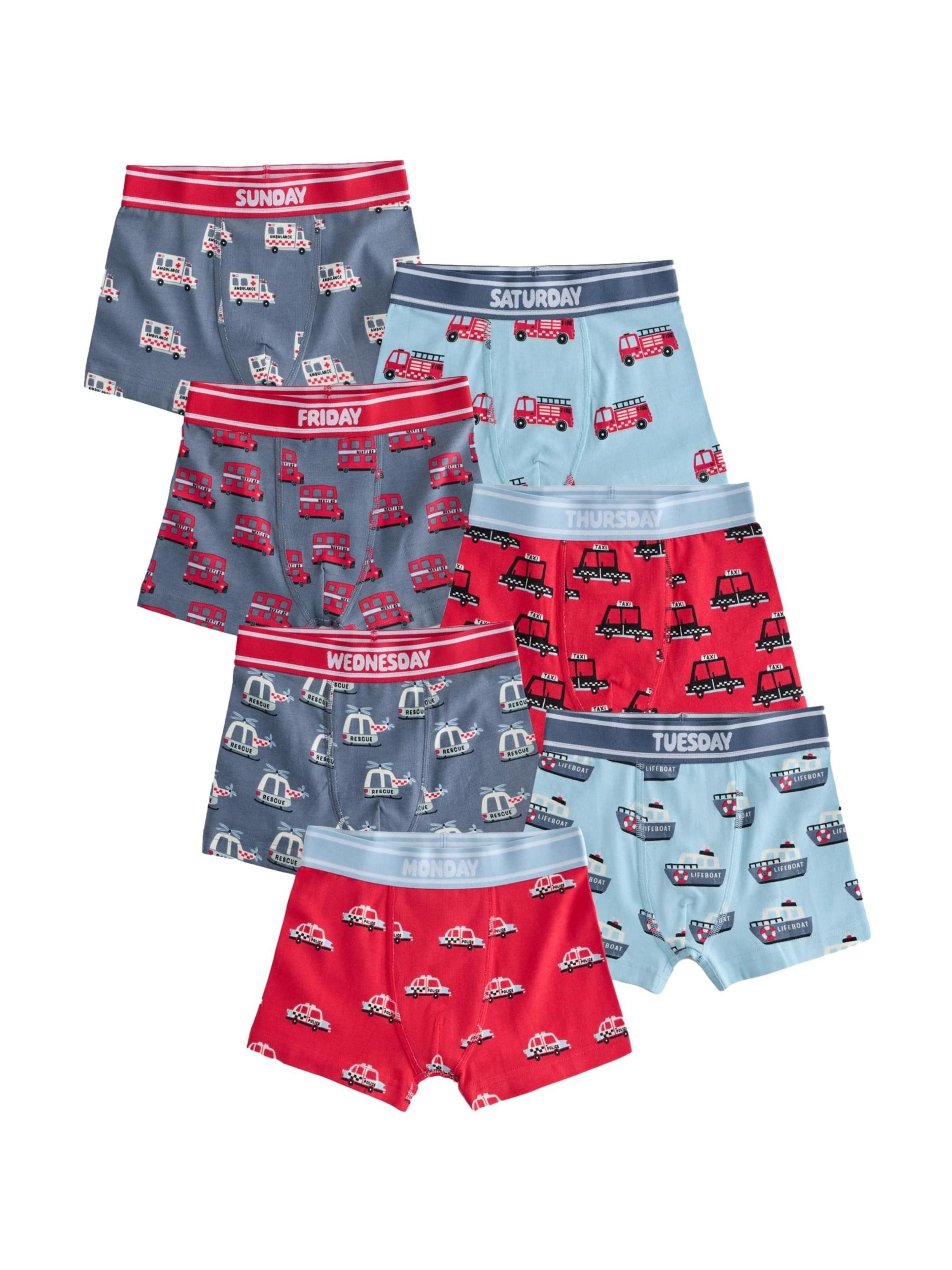 Next Underpants in Blue: front