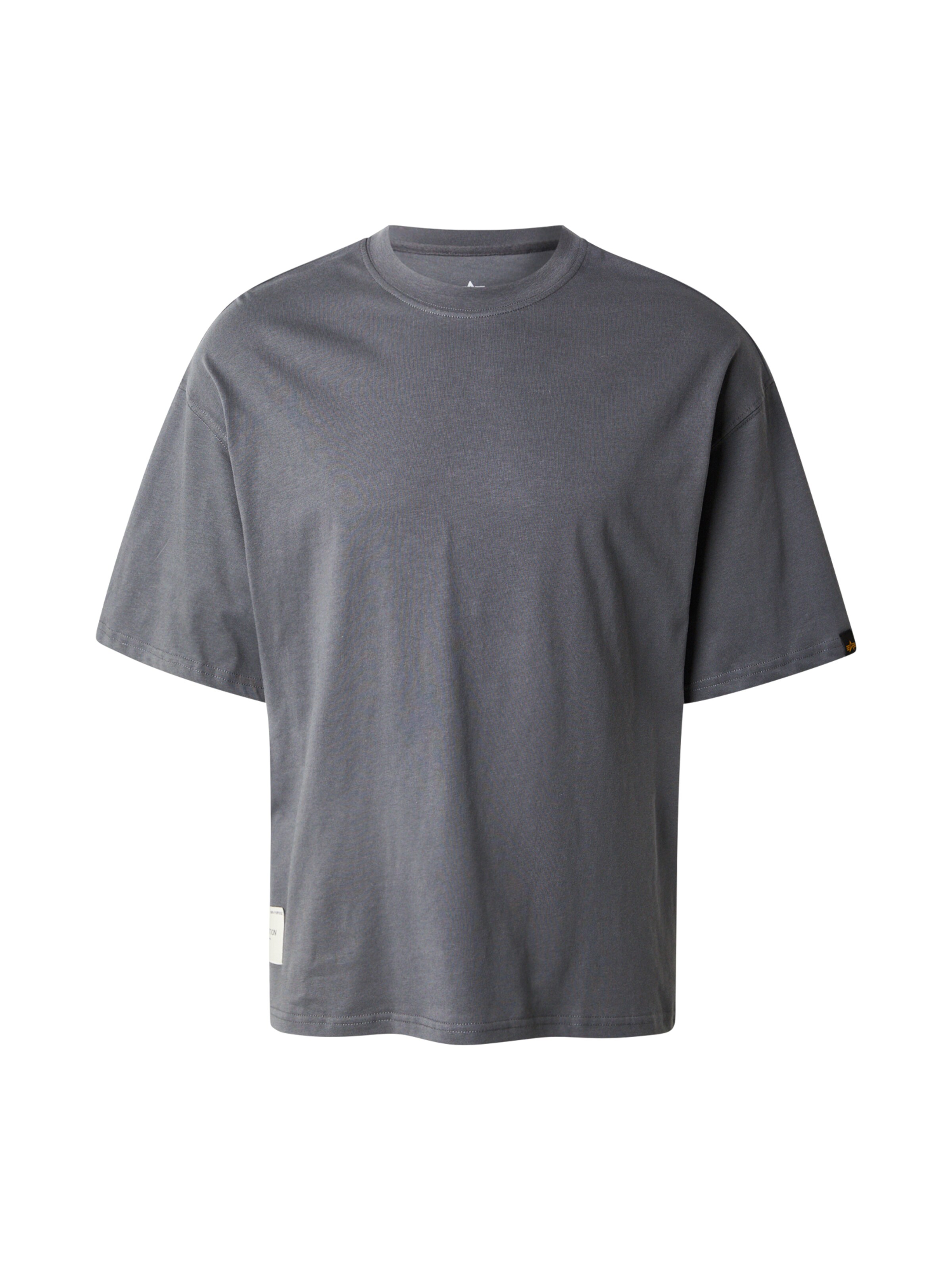 Tricou 'Studio Edition' de la ALPHA INDUSTRIES pe gri: față