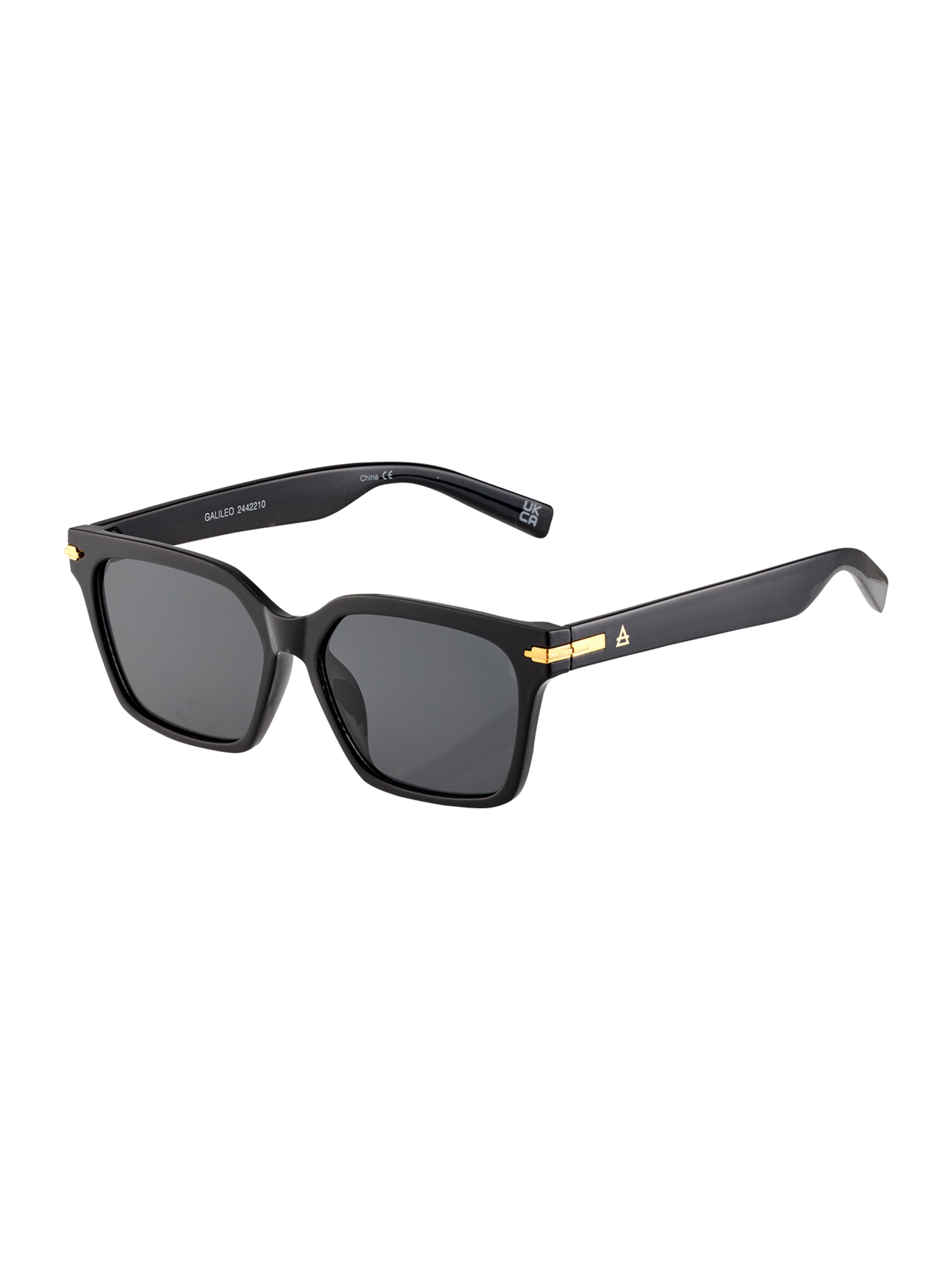 Aire Sunglasses 'GALILEO' in Black: front