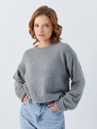 MixRay Pull-over 'Pullover' en S-M en gris, Vue avec produit