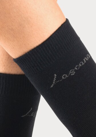 LASCANA Socks in Black