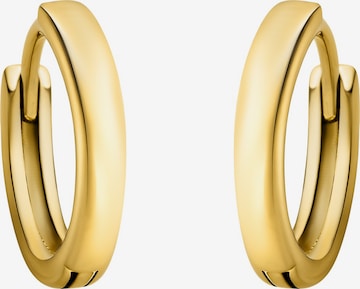Sofia Milani Ohrringe in Gold: Vorderseite