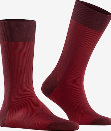 FALKE Socken 'Fine Shadow' in Rot: Vorderseite