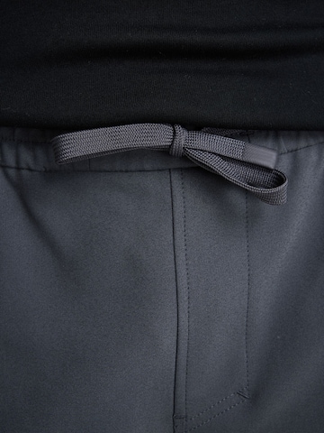 Regular Pantalon cargo 'Rift Flow' CHASIN' en gris
