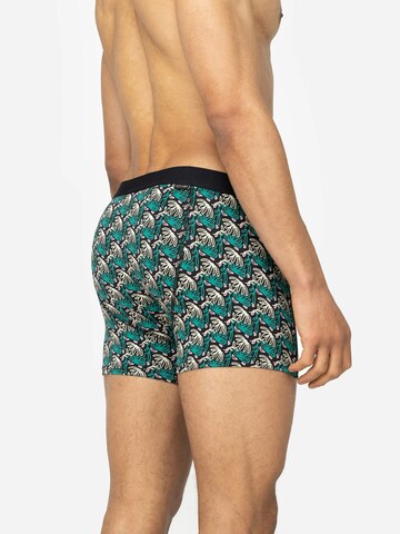 A-dam Boxershorts 'SHOWERFLOWER' in Schwarz