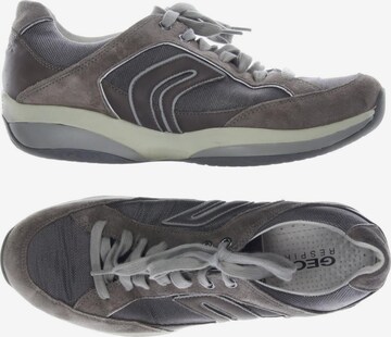 GEOX Sneakers & Trainers in 43 in Brown: front