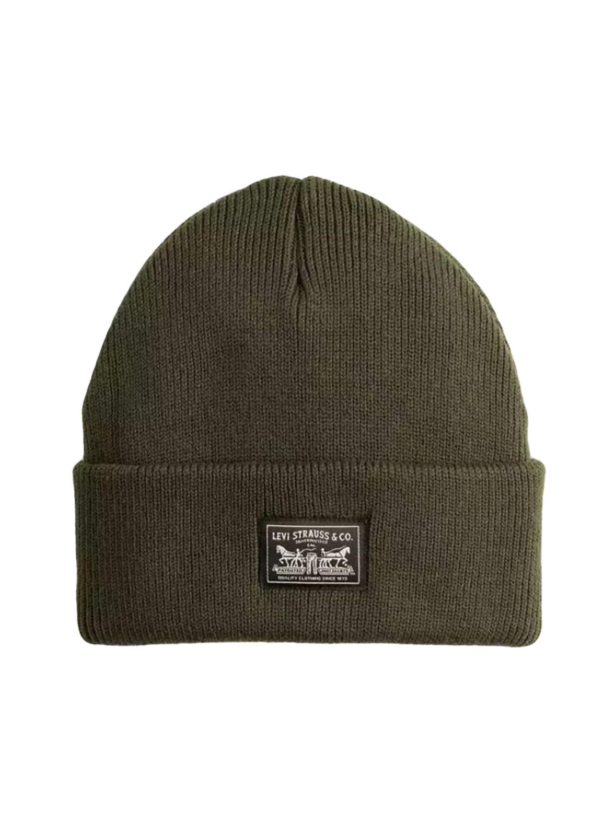 LEVI'S ® Czapka 'Autumn / Winter' w kolorze zielony: przód
