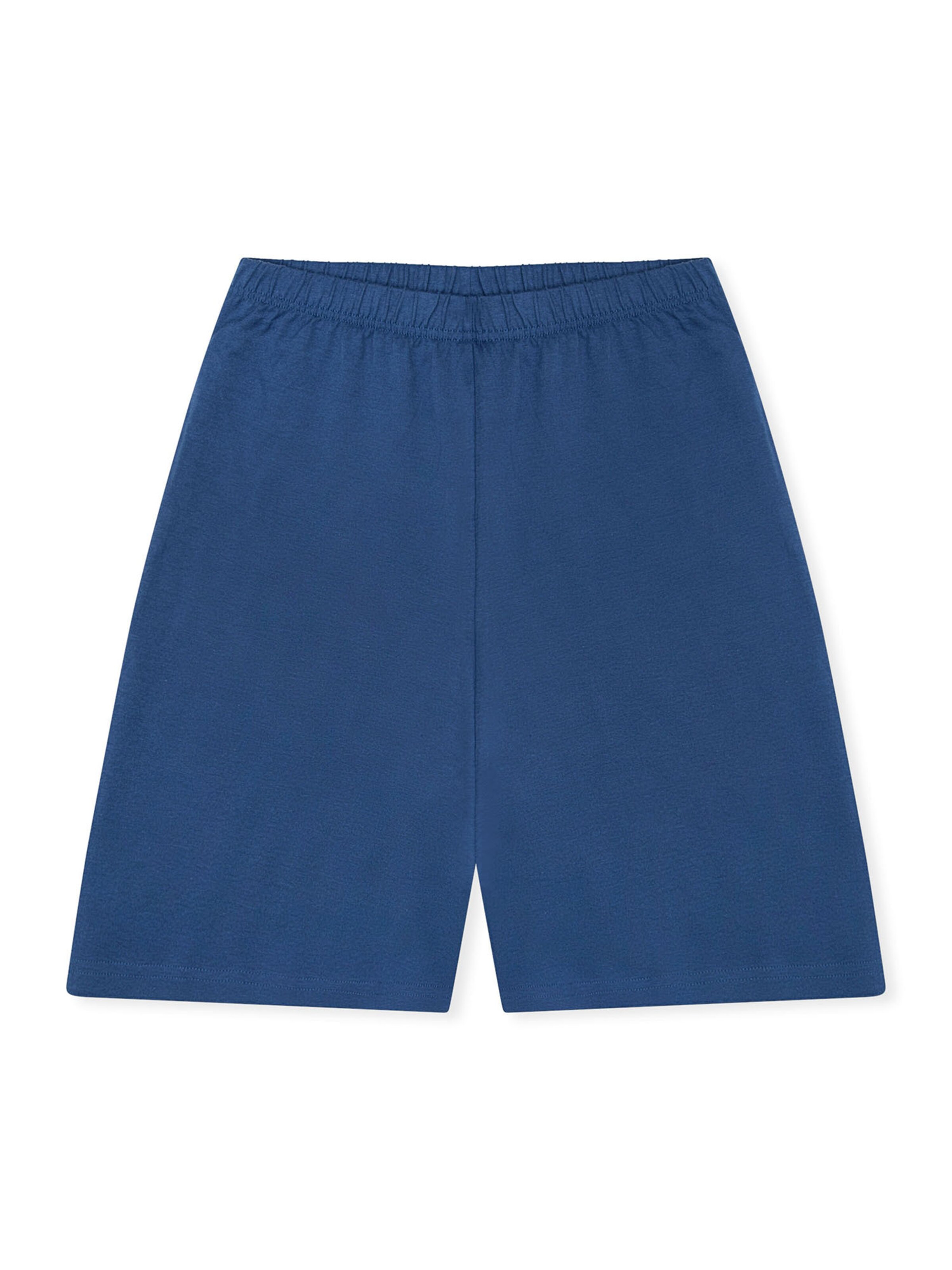 SCHIESSER Nachtkledij ' Nightwear ' in Blauw