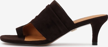 ruda Kazar Šlepetės per pirštą: priekis