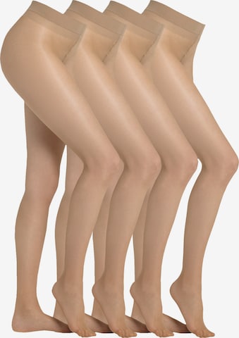 Collants camano en marron : devant