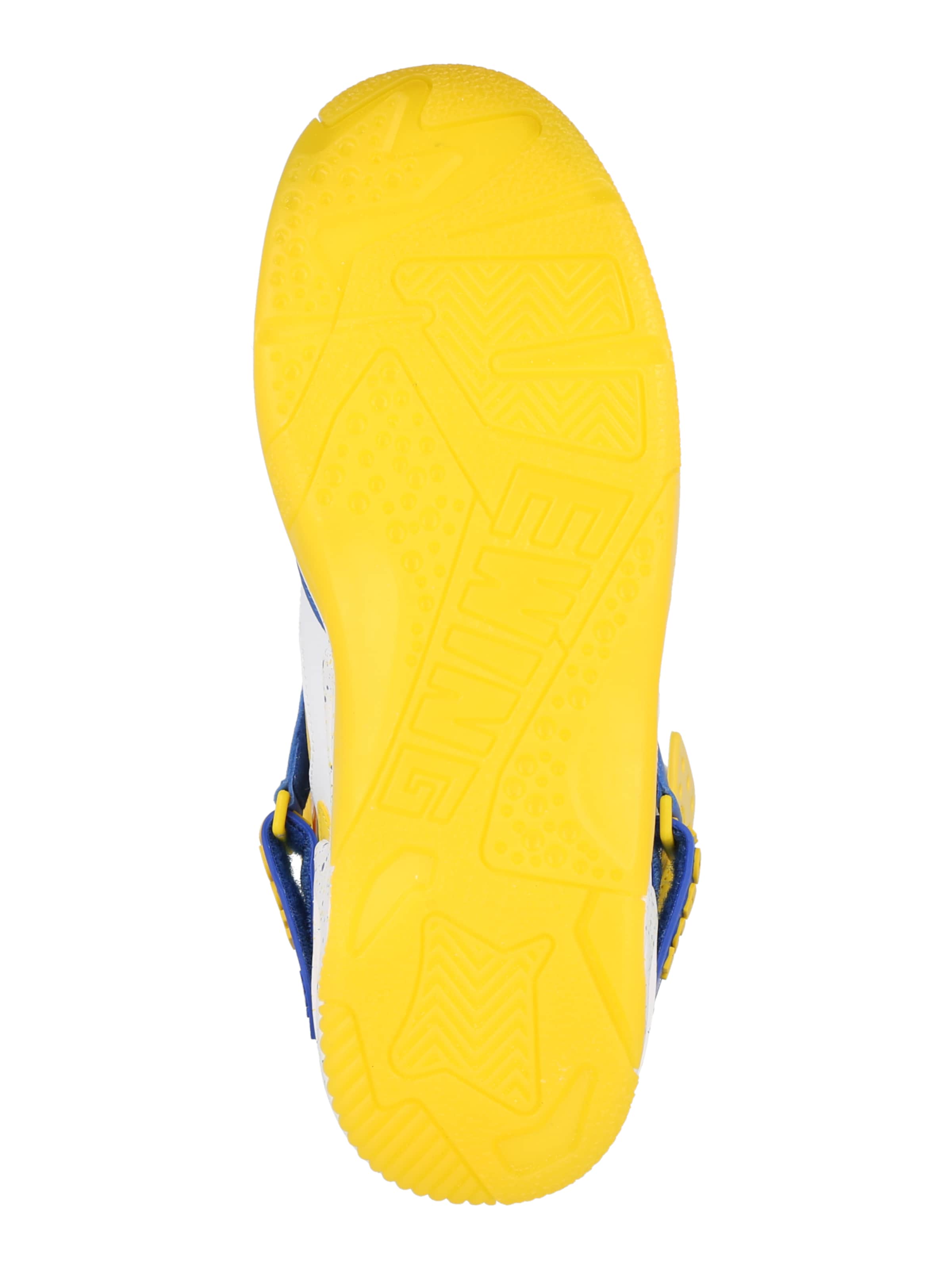 Patrick Ewing Trampki wysokie 'Dirty Bastard' w kolorze mieszane kolory