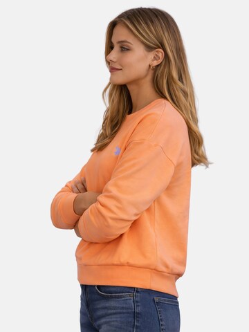 U.S. POLO ASSN. Sweatshirt in Oranje
