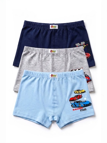 ÖTS Unterhose 'ÖTS Herren-Boxershorts'‌‌‌‌‌‌ in Mischfarben: Vorderseite