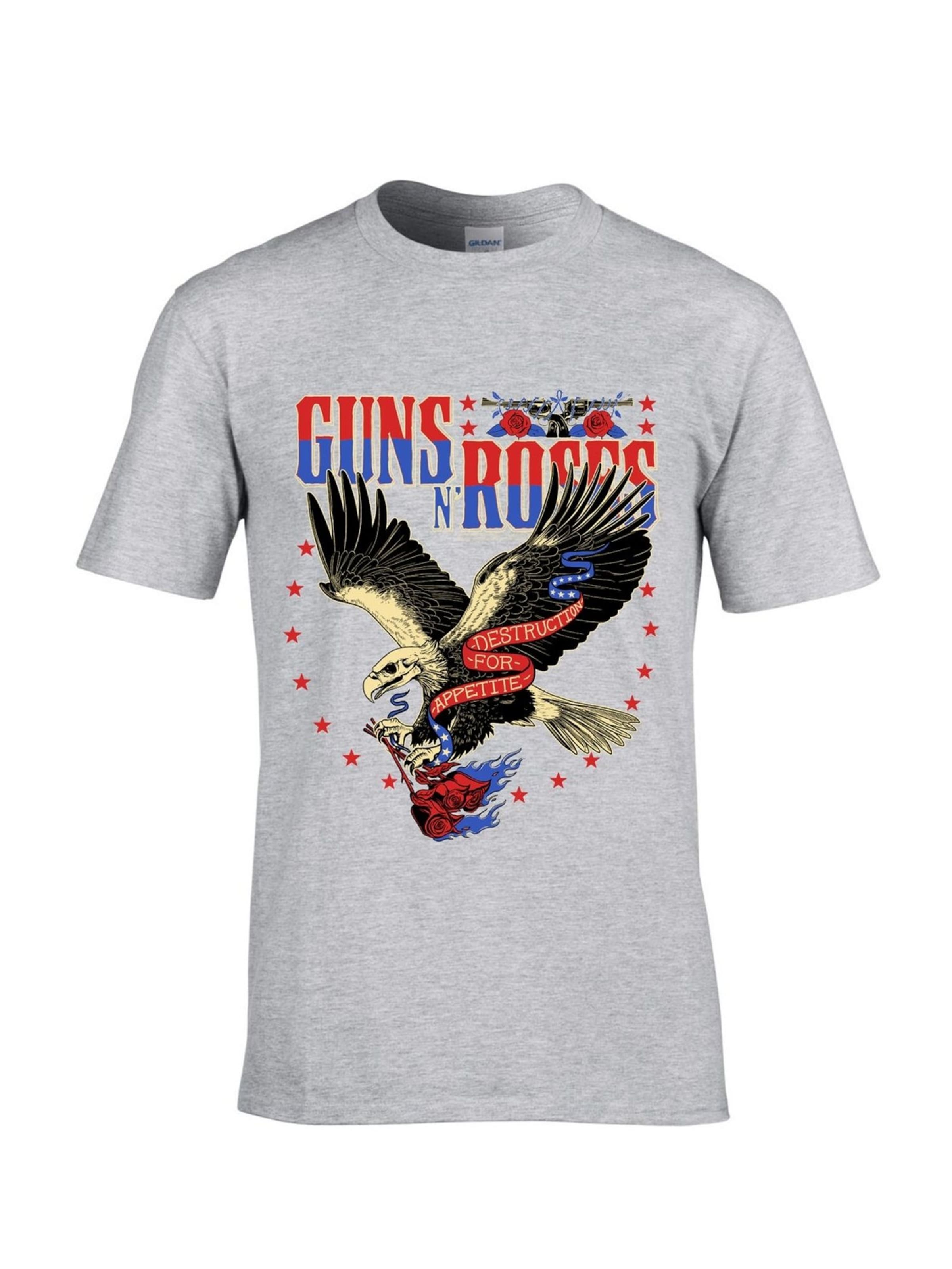 GUNS N' ROSES Shirt 'Appetite for Destruction Eagle' in Grey: front