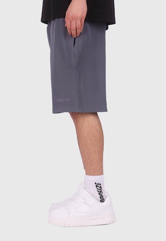 Dropsize - Loosefit Calças em cinzento